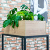 Plantenbak - 34 cm